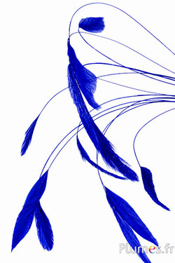 Coquetip - 20-25 cm - blu